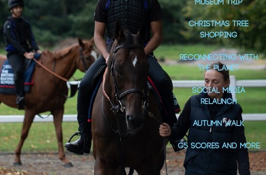 Newsletter Winter 2 2025